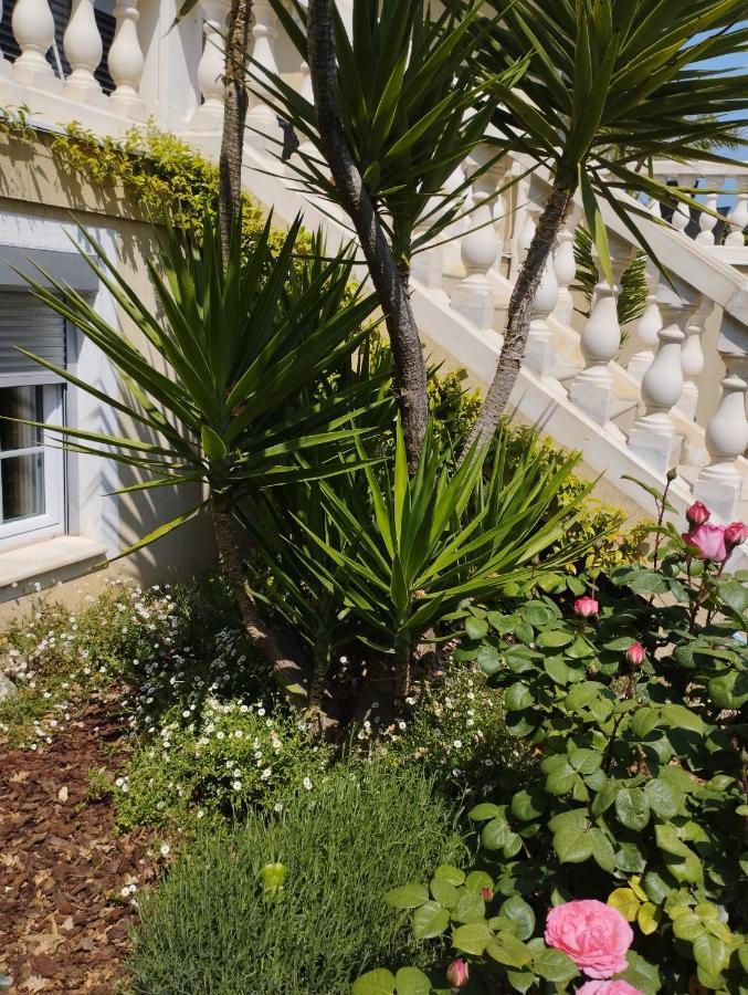 Villa Flora Superior Apartment Cabris Esterno foto